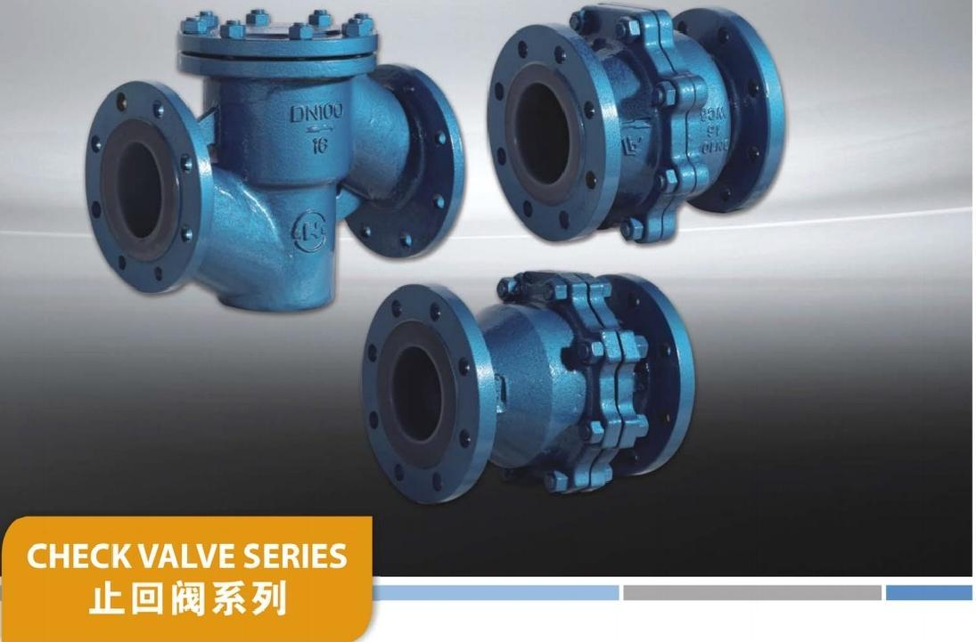 Fluorine-Lined Check Valve